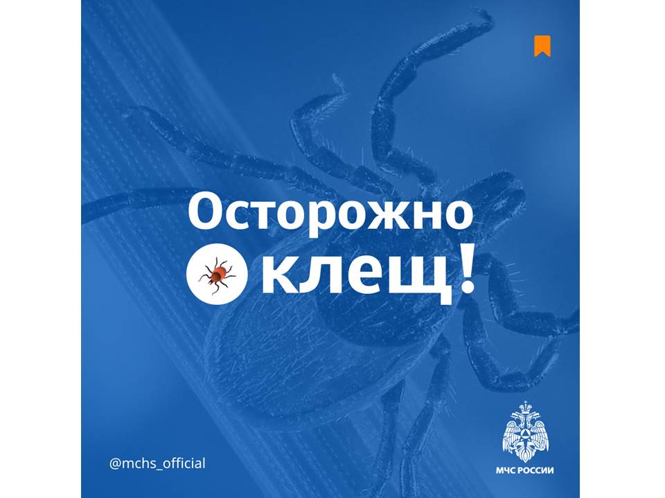 Осторожно! Клещ!.